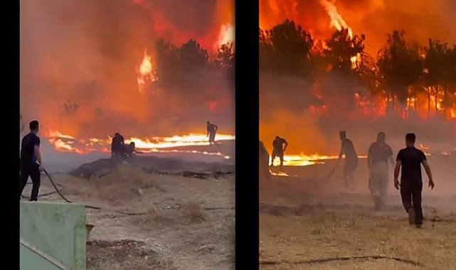 Manisa, Bursa ve İzmir'de orman yangını! Saatlerce sürdü, beklenen haber Bakan Yumaklı'dan geldi
